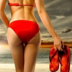 Summer Activity Vol.1