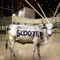 Behind the Cow [Single]