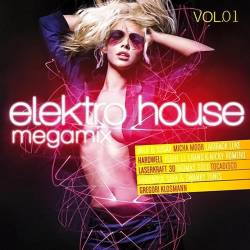 Electro Megamix Vol. 01