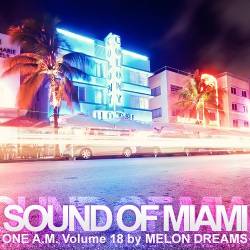 Sound Of Miami - One A.M. Volume 18