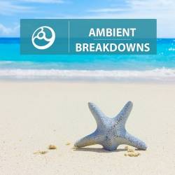 Ambient Breakdowns
