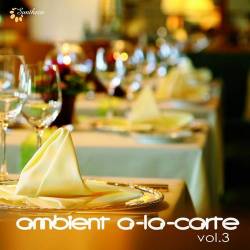Ambient a-la-carte Vol.3