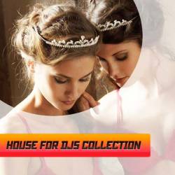House for djs collection vol.2